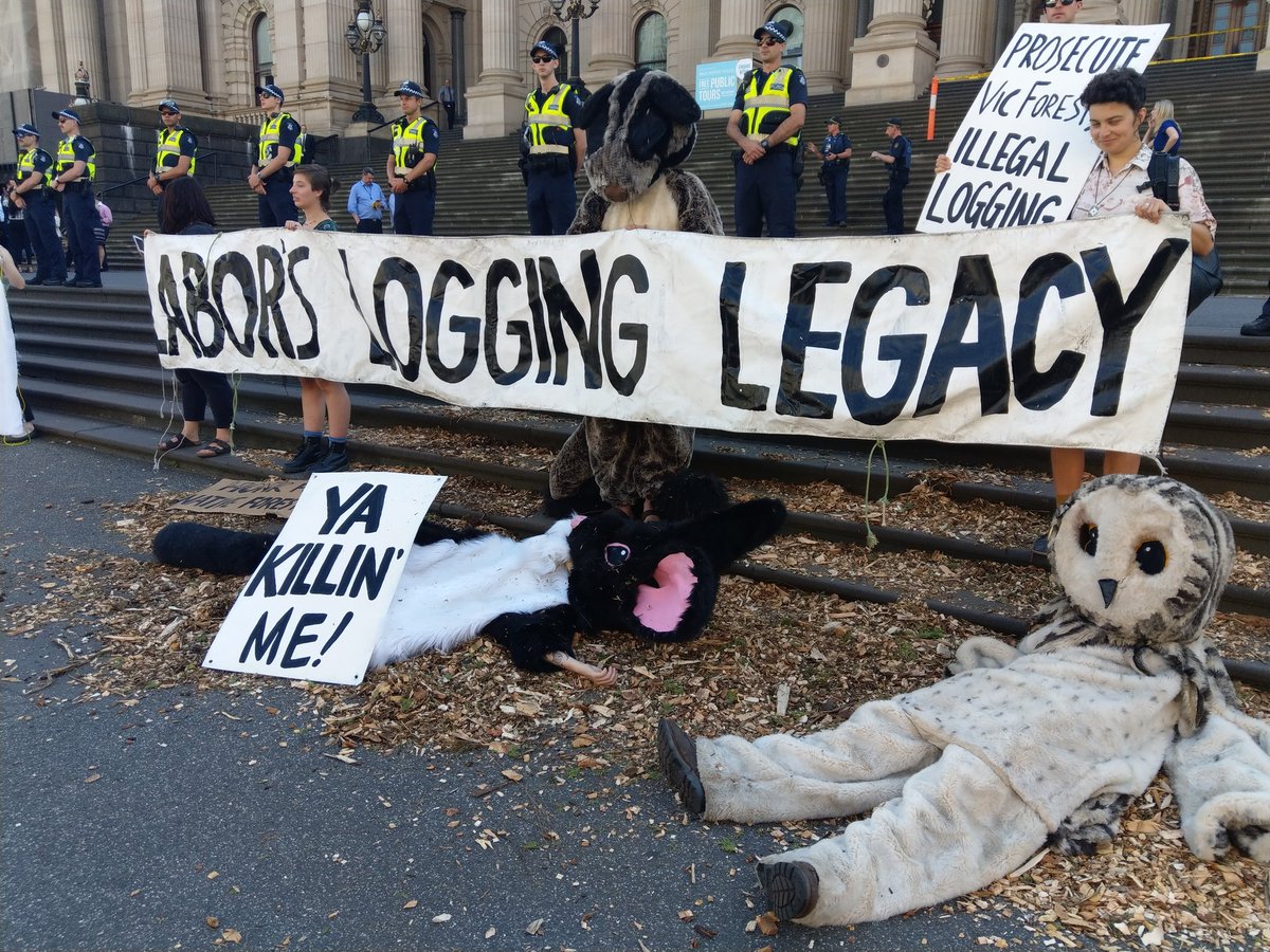 zifuad's tweet photo. Dan Andrews ya killing us!
Take leadership and protect the habitat of our iconic endangered wildlife like this Greater Glider. 
#GFNP #LoggingKillsWildlife #DoSomethingDan #SaveKuark #Disrupt2017 https://t.co/vlMdei5EBY