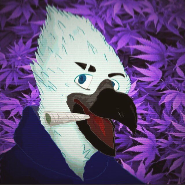 _SpringLock tweet picture