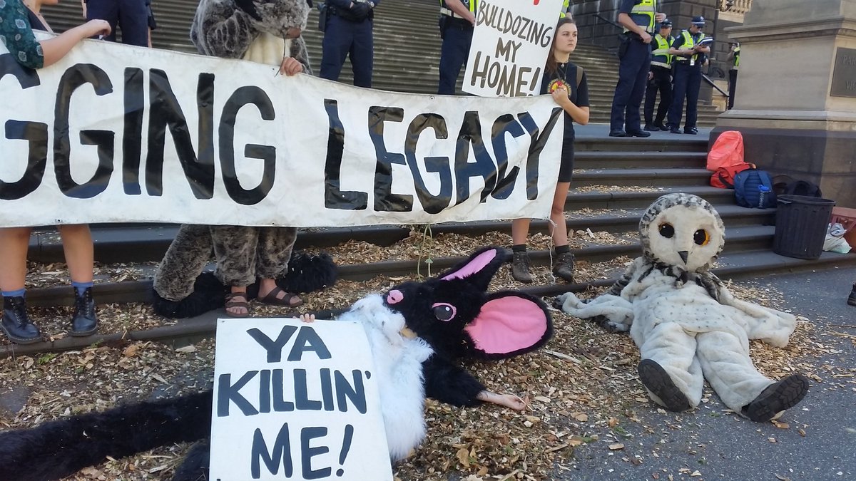 smcconnell25's tweet photo. 3 years in office today and this is your logging legacy @DanielAndrewsMP #savekuark #extinctionisforever https://t.co/Vdqhp3wkQi