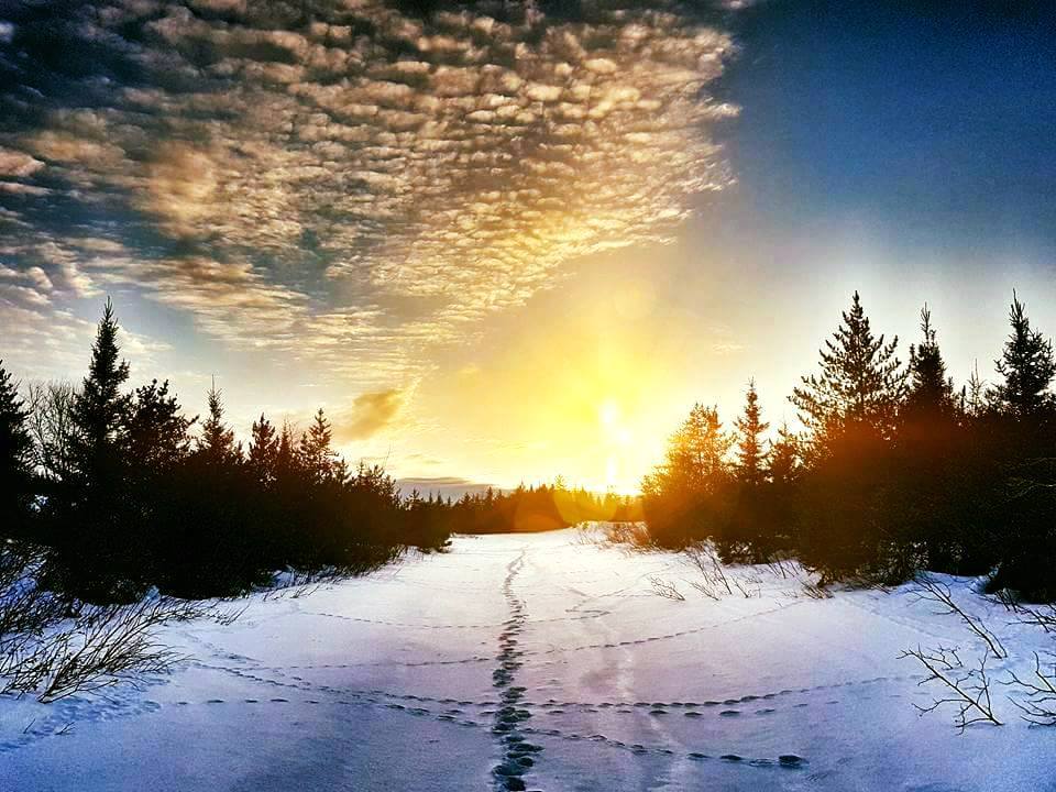 Which trail will you choose? #EeyouIstchee #BaieJames #escapelikeneverbefore #adventure #trails #north #ExploreCanada #BestOfQuebec