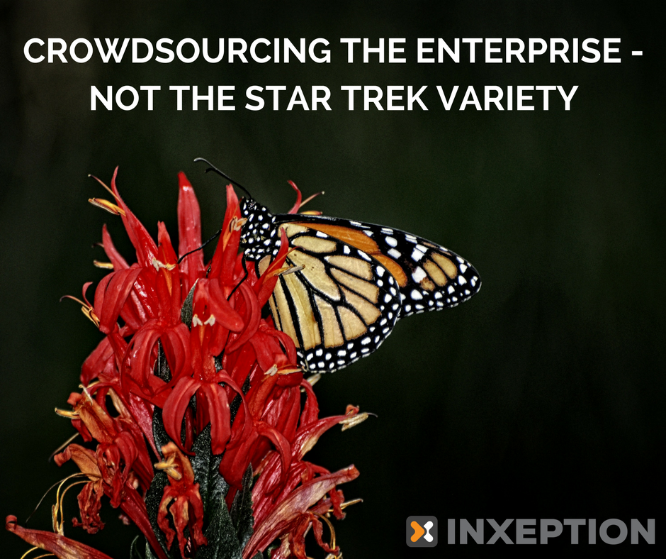 Inxeption_Corp's tweet photo. New Blog -> https://t.co/5IkzruOocl #Read on to see how we make the connection between #butterflies and #crowdsourcing! #SaaS #Inxeption #CRM #ERP #software #tech #innovation #thefuture #startup #LA #SF #SiliconValley #automation #customization #entrepreneur https://t.co/D0bna56pxq