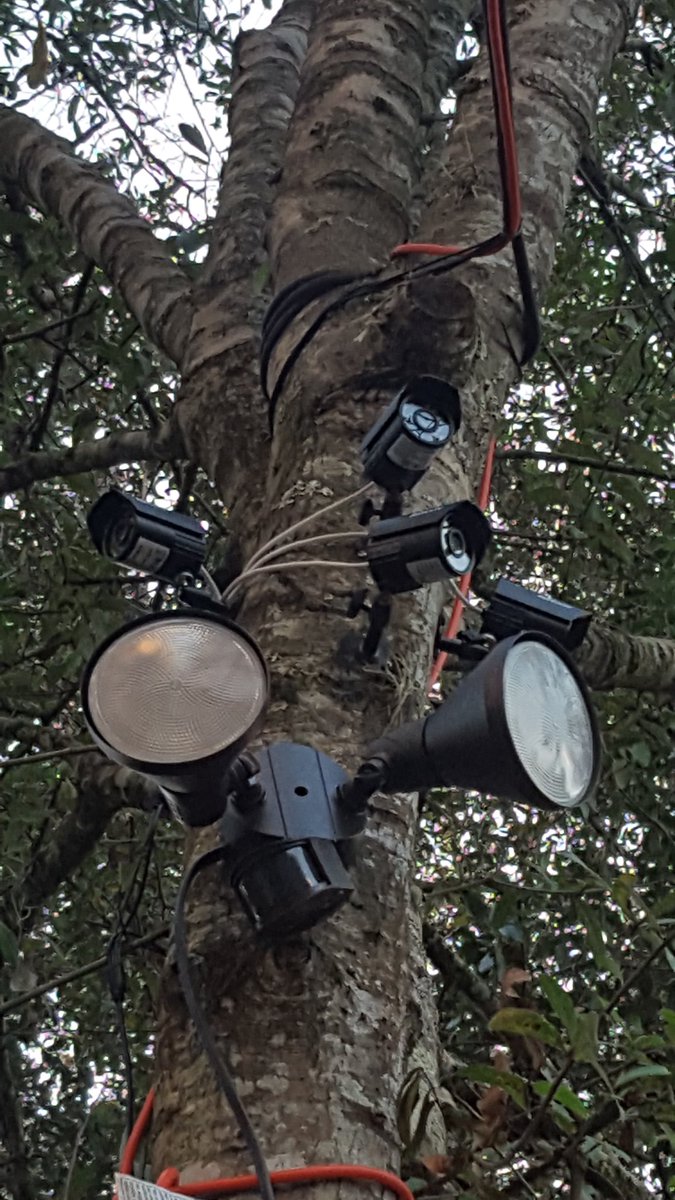 WithoutATraceFL's tweet photo. #9PMRoutine starts early at Station 1 Tampa https://t.co/2dV2CagEsR as we increase the number of security cameras on site. You think the #BioHazard #DoNotEnter signs would be enough warning BUT... @PascoSheriff https://t.co/ERdbv4GSik