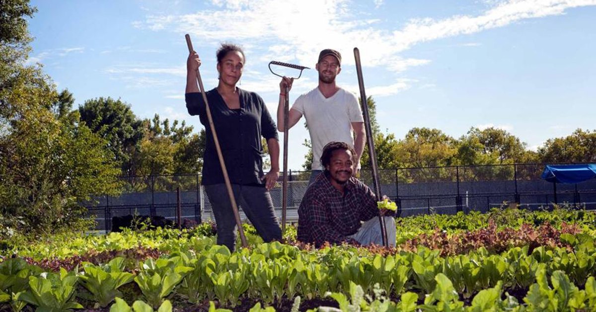 Slow Money tweet media