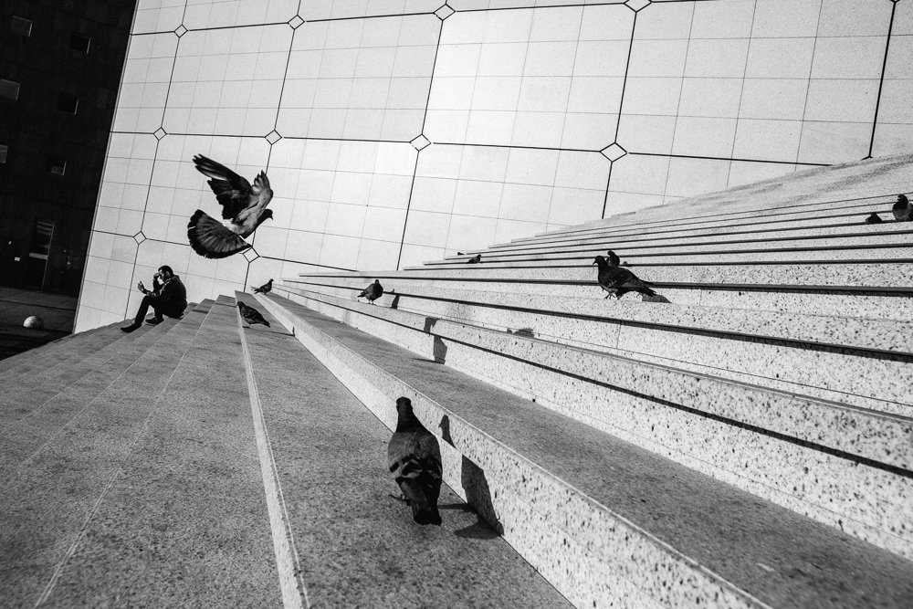 parispics's tweet photo. Chasing pigeons on the stairs of Arch de la Defense is a good way to start a Photo tour! 😎 https://t.co/lxTTDviP5F