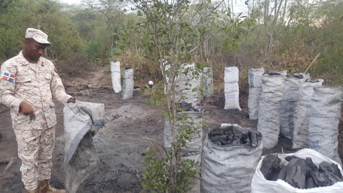 Résultats de recherche d'images pour « fotos de sacos de carbon incautados por el cesfront »