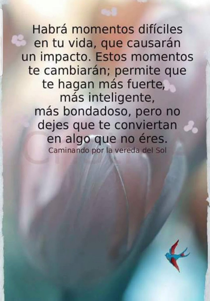 Imagen relacionada