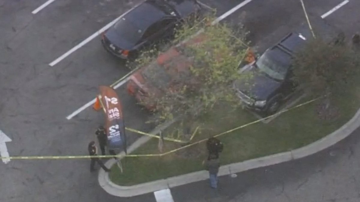 #BREAKING Tampa police 'optimistic' person being questioned connected to area killer bit.ly/2Bw0PZw?utm_so… https://t.co/ElIqhE6Bvk