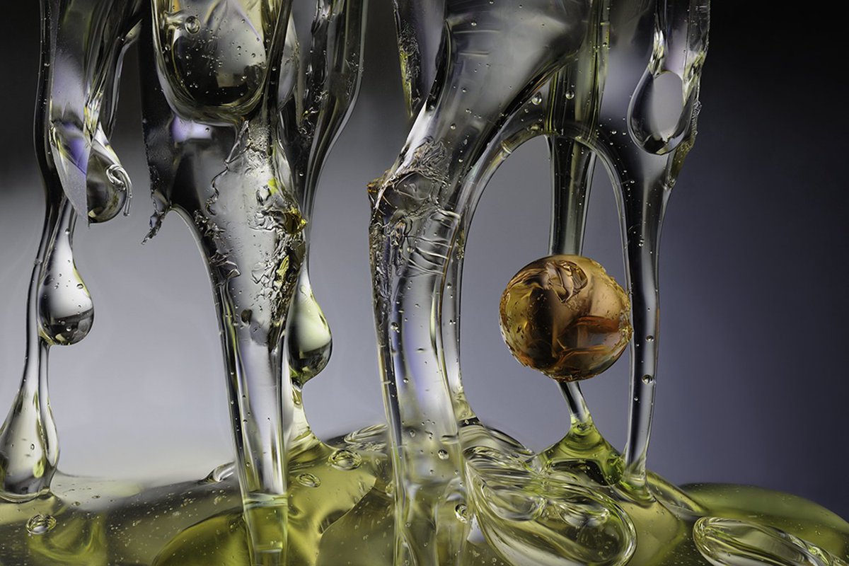 unklecollect1's tweet photo. "Life Attractant" by #Elakurowska #archivalphotopaper #photography; catch more of her work at Anderson Craft Ales from Dec 15 to 17; 1030 Elias St #lndont. https://t.co/dJsqoVyzr1