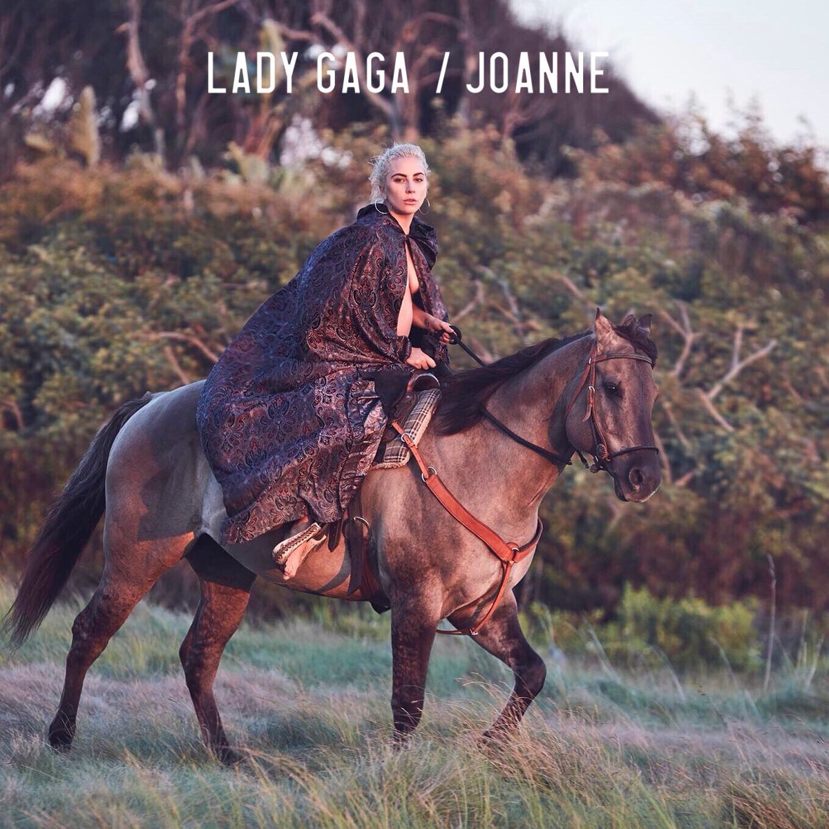 HausOfFiona's tweet photo. Guys, what do you think of these “Joanne” album covers I’ve edited off from @ladygaga’s recent Instagram posts? https://t.co/i4f1vrHi4Z