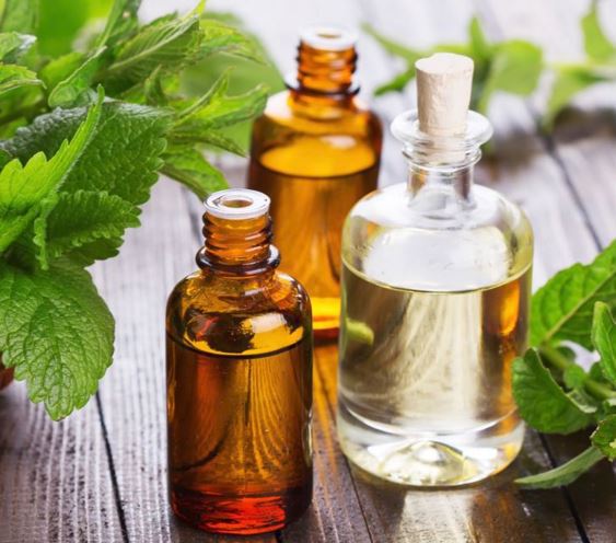 NaturalHealsAll's tweet photo. Peppermint Essential Oil Healing Benefits And Uses - https://t.co/Uj6ufq79VH https://t.co/IWvzyxMpwO