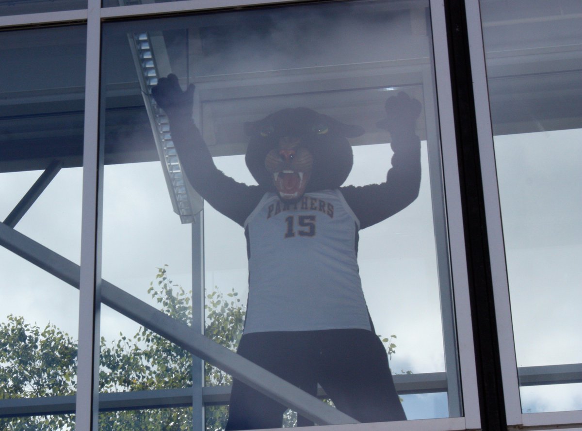 PCCPanther's tweet photo. Oh mah gawd!!! We're at $911 bucks! $89 bucks short of mah $1000 goal during #GivingTuesday !! Please help me get to tha top so I can be let out of the glass box!! https://t.co/8tvSH3mNr9 https://t.co/w9moZ5G5K2
