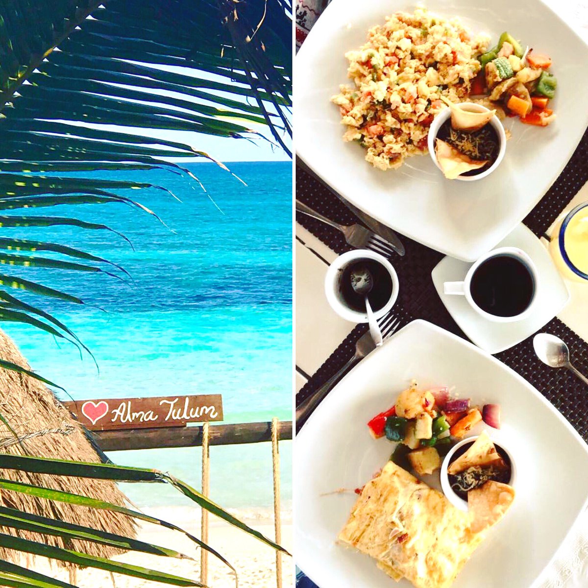 TulumFood's tweet image. How to start well your day ? ☀️
Simply go to Alma Tulum and enjoy a divine breakfast, and chill in beach beds all the day 🌴