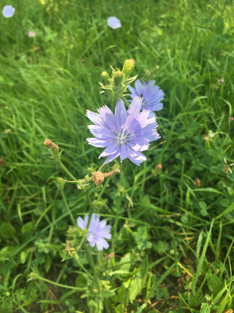 chuckdevito's tweet image. 