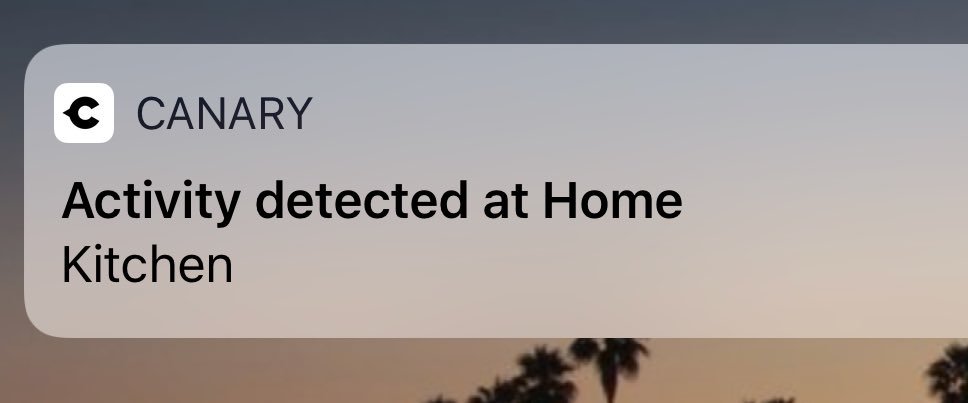 amariamcgee's tweet image. we got security cameras and the only thing it’s been catching is me getting late night snacks