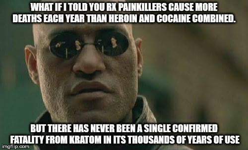 cmk84711's tweet photo. #keepkratomlegal https://t.co/f2kzXIuAmI