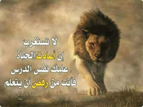 Bashir Besha (@bashirbesha7) on Twitter photo 