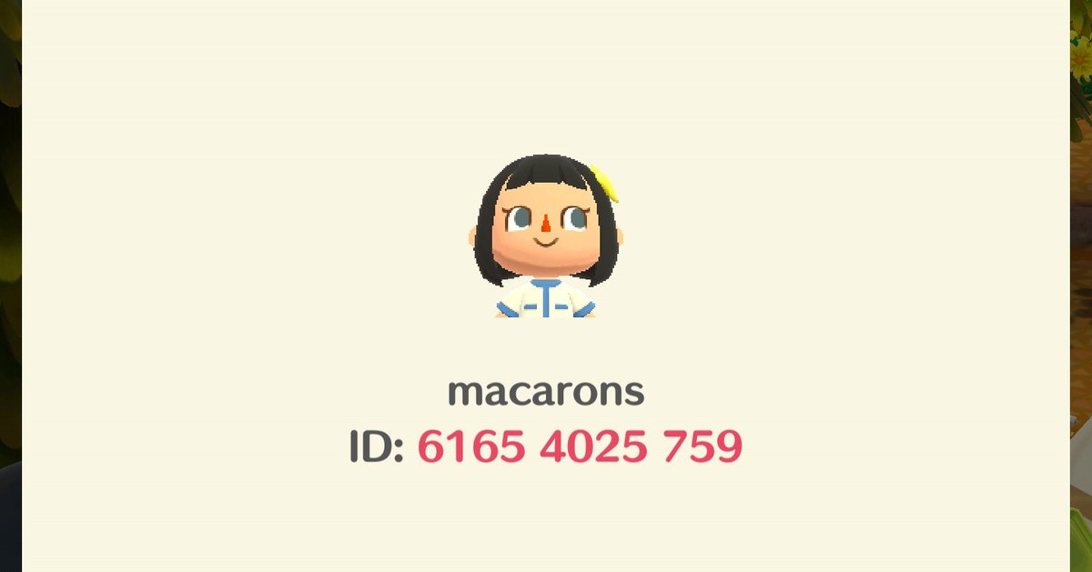 adora ☆彡 tweet media