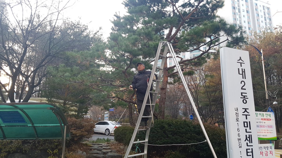 수내2동 시민소통관 (장진주) tweet media