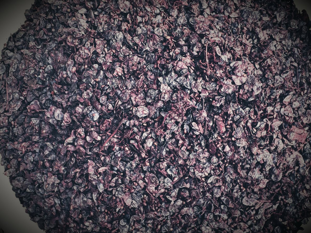 FMarcazzan's tweet photo. Great job I would say #winelovers #MarcazzanFabio #PrimaVolta #Cabernet #passion #WINE https://t.co/cZAX09rk36