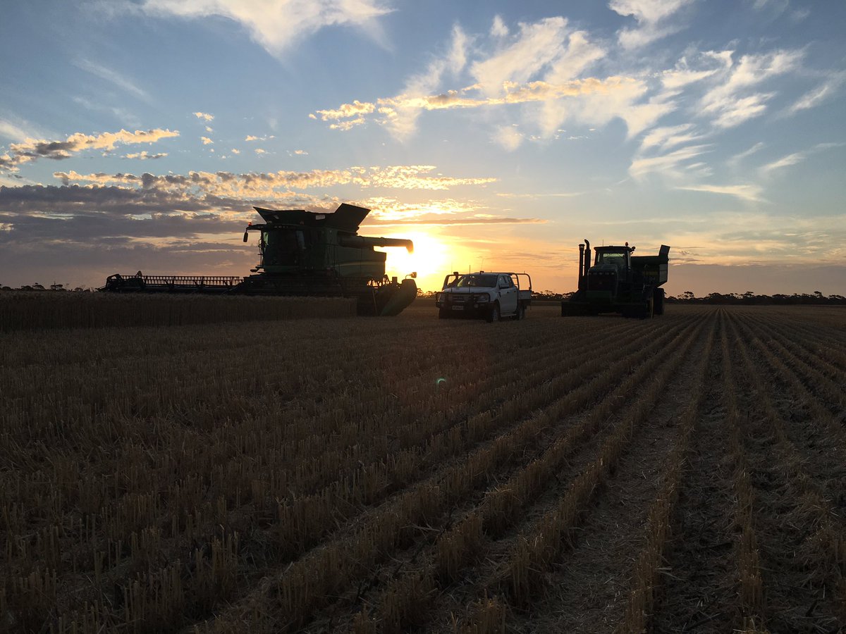 CasswellFarm's tweet photo. Boss wanted an English harvest supper, so brought us fish &amp; chips to the paddock! Incredible scenery and not long left! #Aus #harvest17 https://t.co/PiTE4sPQUw