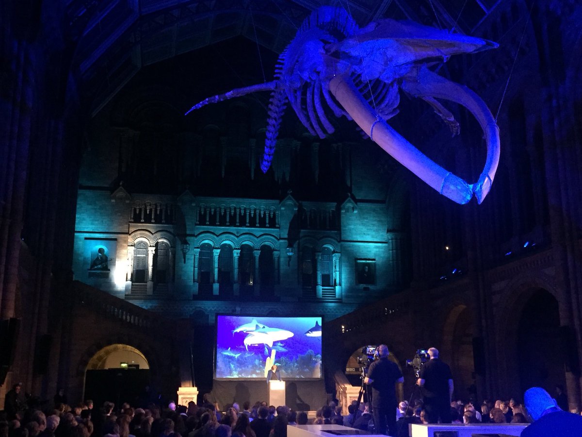lizbonnin's tweet photo. "How much of the ocean do we need to protect? Look at your heart. How much of it do you want to protect? The ocean is the heart of the planet". Sylvia Earle at this year's #AnnualScienceLecture. What a honour to meet this formidable woman. #happyLiz @NHM_London @NHM_Science https://t.co/7DYHWLv5j0
