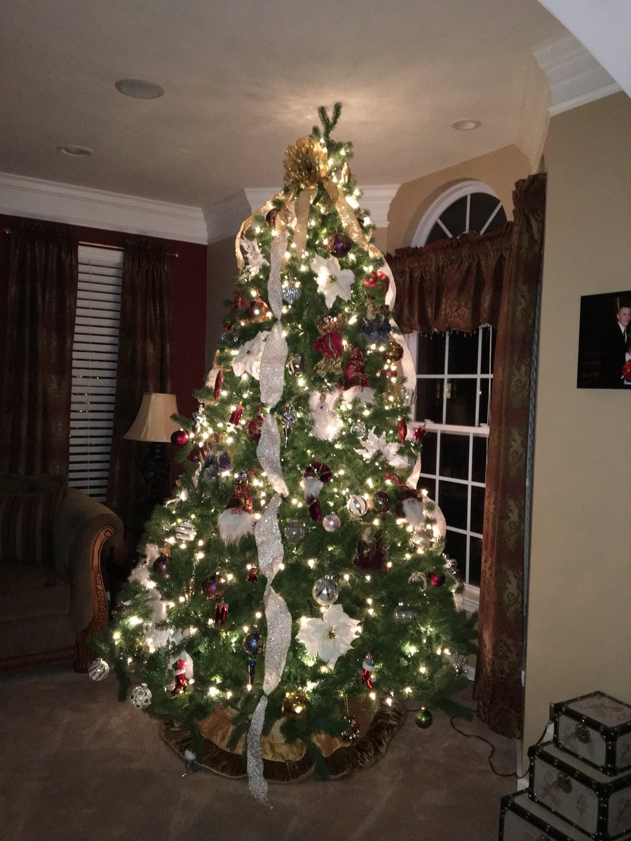 petsthatrule's tweet photo. Very worried !! My wife only had me put up 4 trees this year. We’re is her Christmas spirit. https://t.co/F0oTrMCRNM