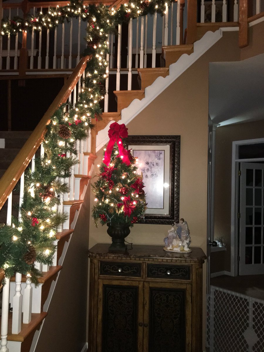 petsthatrule's tweet photo. Very worried !! My wife only had me put up 4 trees this year. We’re is her Christmas spirit. https://t.co/F0oTrMCRNM