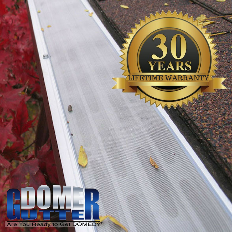 GutterDome's tweet photo. Did you know: GutterDome offers a 30-Year Lifetime Limited Warranty. This is the longest warranty available for gutter guards today, so homeowners can rest easy knowing their investments are protected! #AreYouReadyToGetDOMED? https://t.co/0uTaDeAjdf https://t.co/yDWQVdk9m2