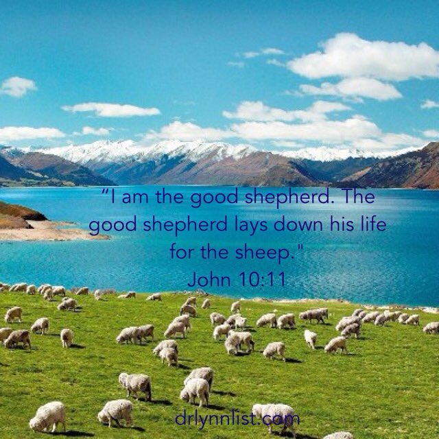 Dr Lynn List ✝ tweet media