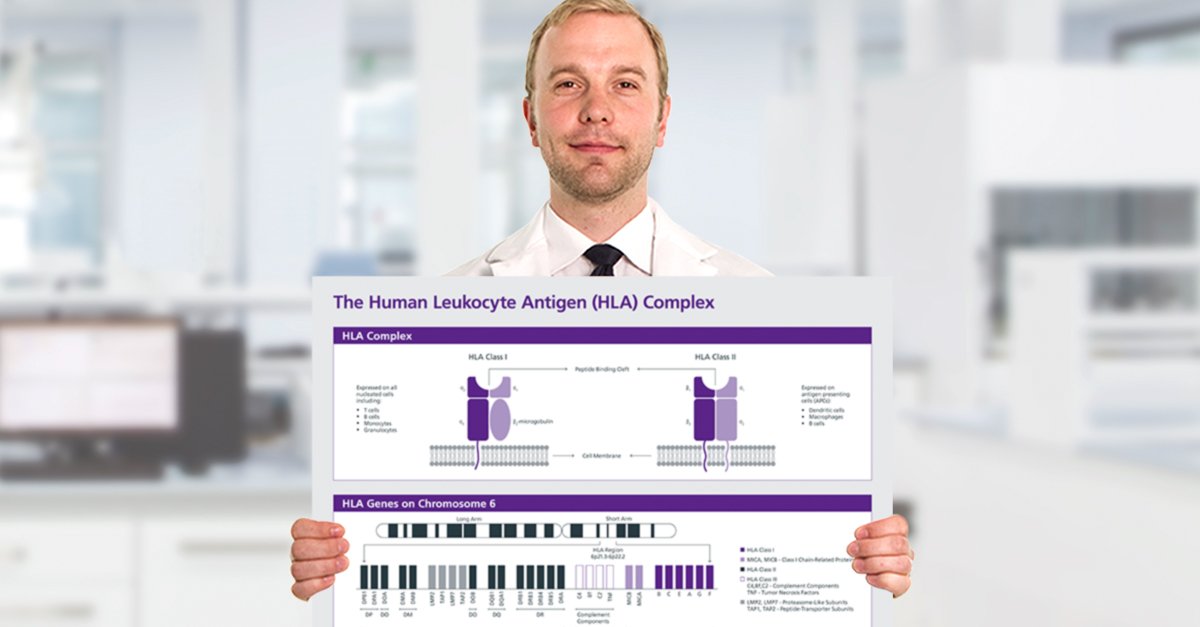 read Noise Control in Industry A