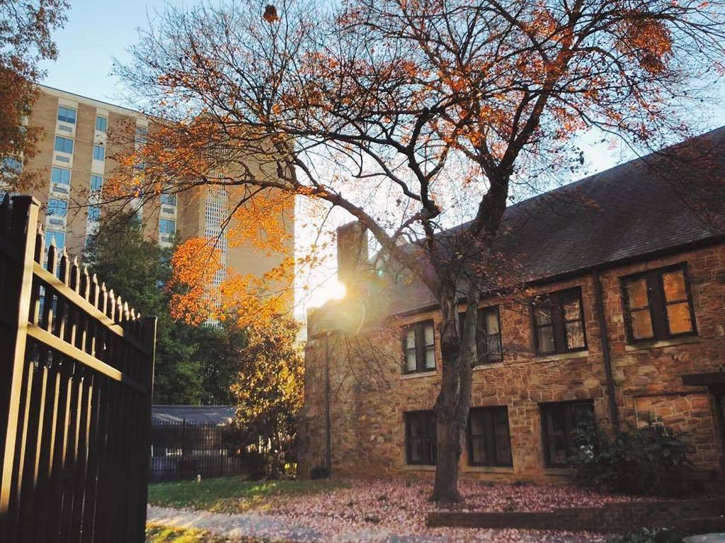 We lucked upon this beautiful view yesterday during a morning walk downtown. You just can’t beat these colors! Here’s to cooler temps, light layers, the start of college basketball, and everything else that makes fall our favorite season 🍂📷🍁☺️
.
… ift.tt/Dg4Jjo