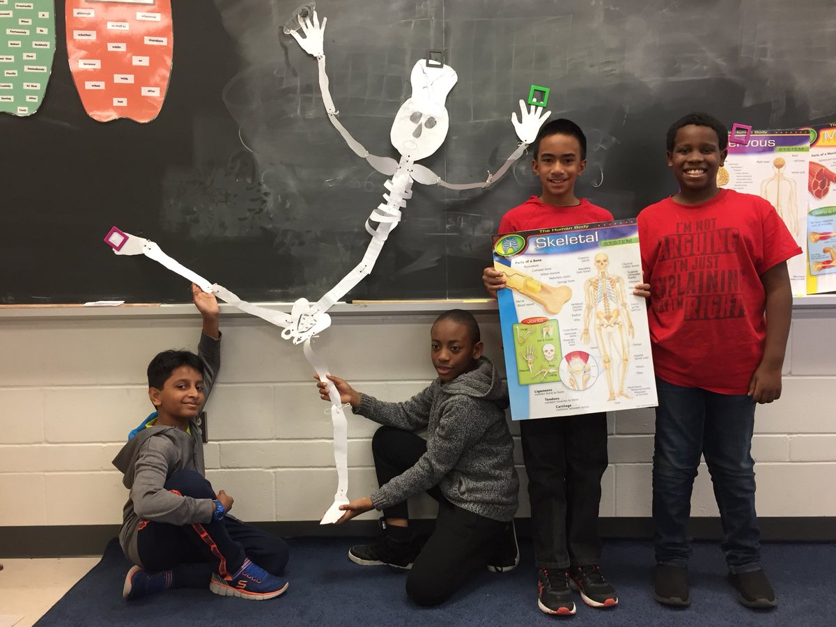 MisterCaruana's tweet photo. Body systems in 5B @JamesPotterPS https://t.co/7YEeDY10ip