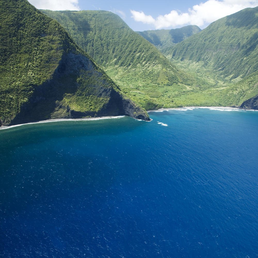 BlueBottleRoses's tweet photo. The Ultimate Guide to Moloka‘i https://t.co/HNUqILCd5S https://t.co/TemwxcuYRS
