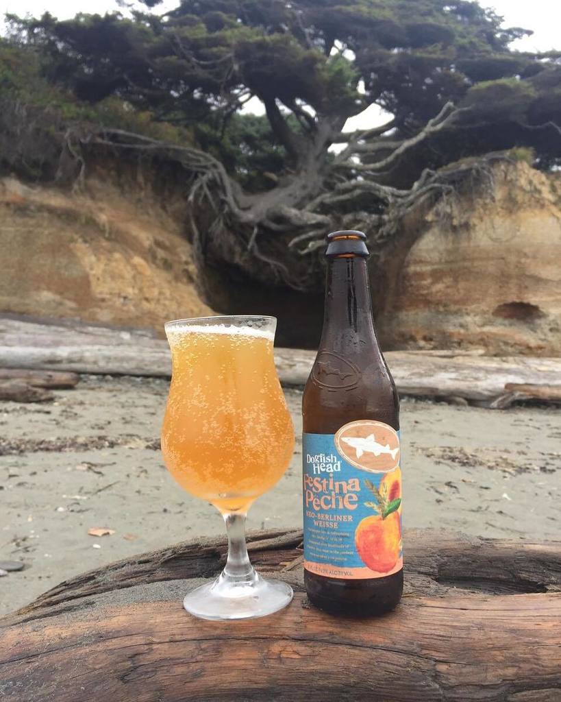 CraftBeerDudes's tweet photo. Today’s Craft Beer Review! 
Festina Pêche
Berliner Weissbier
Dogfish Head Craft Brewery
Milton, DE
ABV 4.5%

Appearance - Pours a pale yellow / golden straw color with a thin white head that dissipates quickly. Showing significant carbonation immediately. 
Aroma - Acidic cit… https://t.co/GSDyVw0Ksb