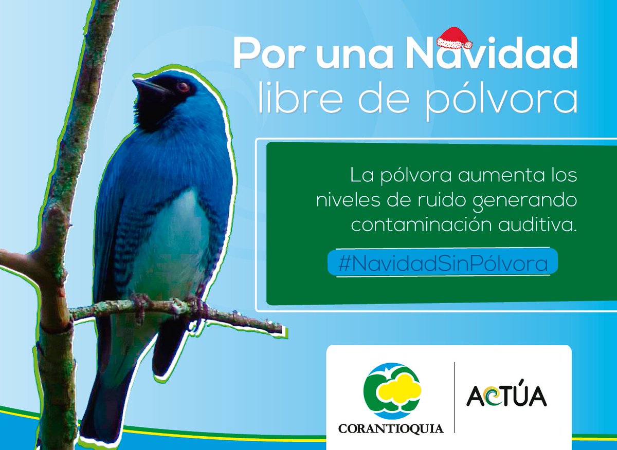 Corantioquia's tweet photo. Los animales son más sensibles a los sonidos fuertes, lo cual les genera altos niveles de estrés, taquicardia y hasta la muerte. Antes de comprar pólvora recuerda que le podrías hacer un gran daño a nuestra fauna y flora. ¡Por la protección de la vida di no a la pólvora! https://t.co/3btzy36bRZ