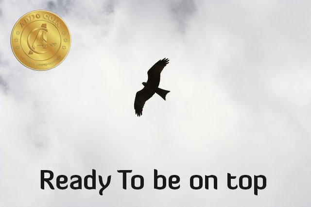 addocoin1's tweet photo. Fly High and Grab Opportunities
#addocoin https://t.co/m93gbXtw1f