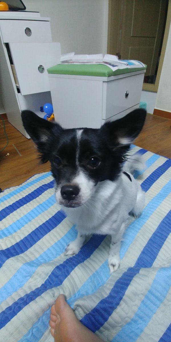 김선애 (@sunae0406) on Twitter photo 