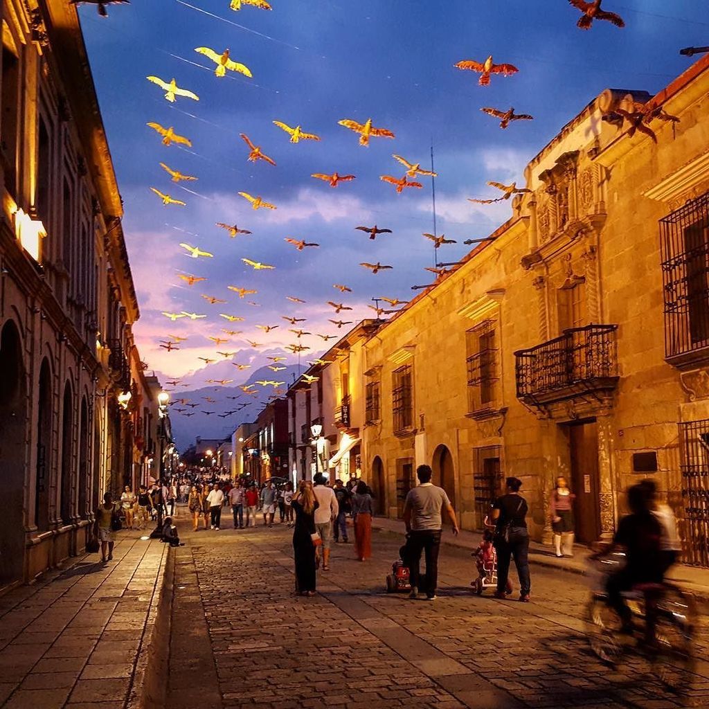 טוויטר \ All Mexico 365 בטוויטר: "Strolling the streets of Oaxaca at night brings out the best in people. #oaxaca #nights #zocalo #streetlife #mexico https://t.co/321vPJfdFp https://t.co/PI4BxvS6Vp"