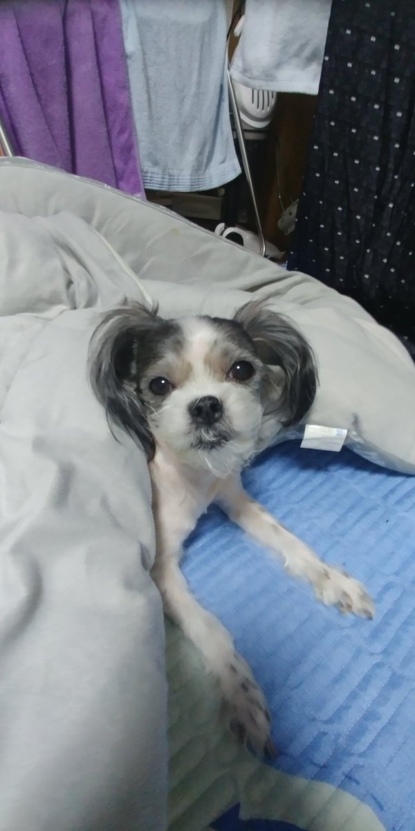 김선애 (@sunae0406) on Twitter photo 