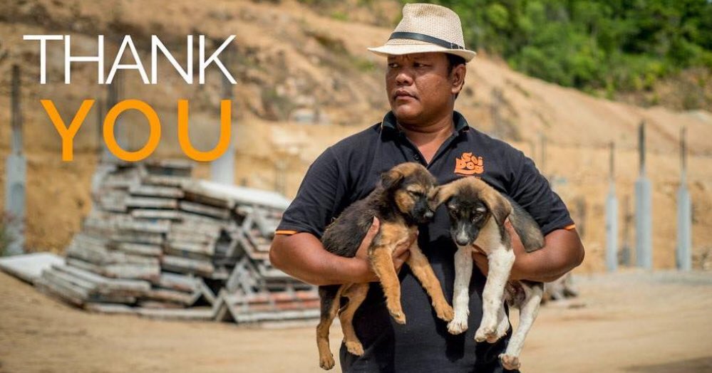 SoiDogPhuket's tweet photo. Thank you for donating to get street dogs the care they need this #GivingTuesday! Click below to find out how you can help today.

https://t.co/nITcLcKWHr https://t.co/qjJTTSYBHi