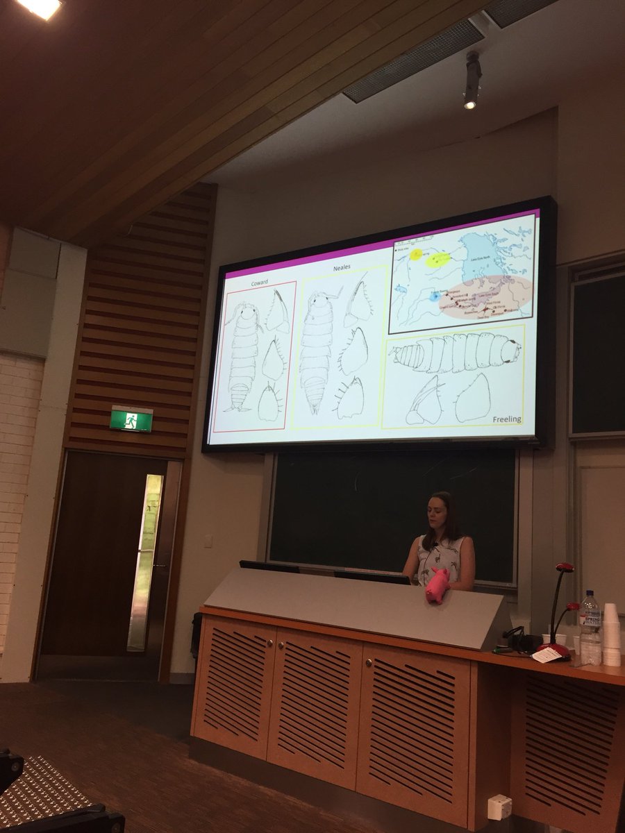 DNArthropods's tweet photo. Danielle Stringer presenting PhD research #Systematics2017 https://t.co/AJ6VjQyPi6