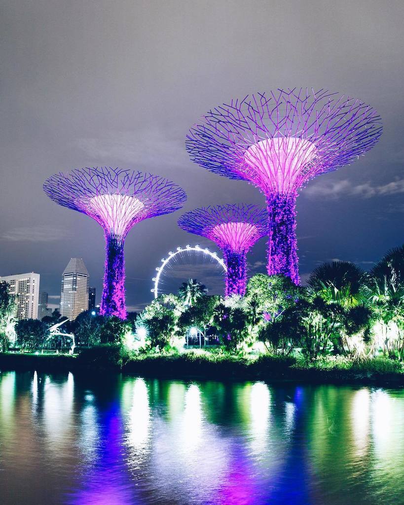 raularagao's tweet photo. Ainda não consegui entender em que tempo no futuro está essa cidade. Será que chegamos lá, Brasilzão? Boa noite aê, Avatar. 🧚🏿‍♂️🌃 #singapore #efbrasil https://t.co/yFhTFNVQie https://t.co/ffam7PrePh