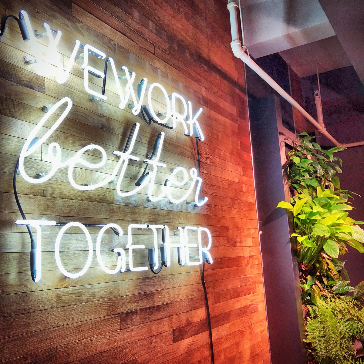 DHeyData's tweet photo. Day 2 in the books! 📚 
#wework #bettertogether https://t.co/NSvIVNfJPG