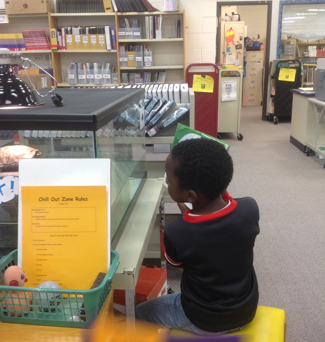 OWHolmesLibrary's tweet image. Turtles need books, too.  #D97libraries #oakpark97 #D97librarylove