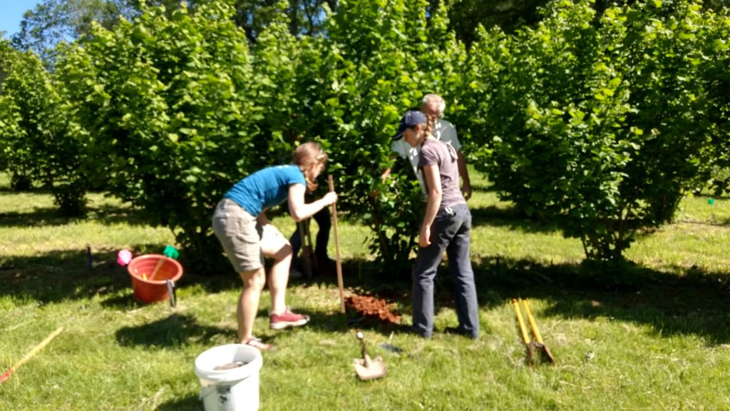Congratulations to the NC Ag Extension for producing their first black truffle! Read more about their find and our involvement in productivity research:

bit.ly/2hZcZkQ 
#perigord #truffle #truffiere #blacktruffle