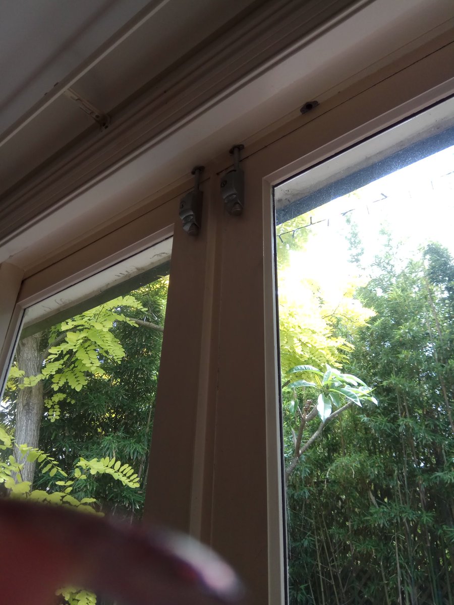 kittygaloretime's tweet image. My Sydney pad is great but I can't reach these things easily 😂 #verticallychallenged