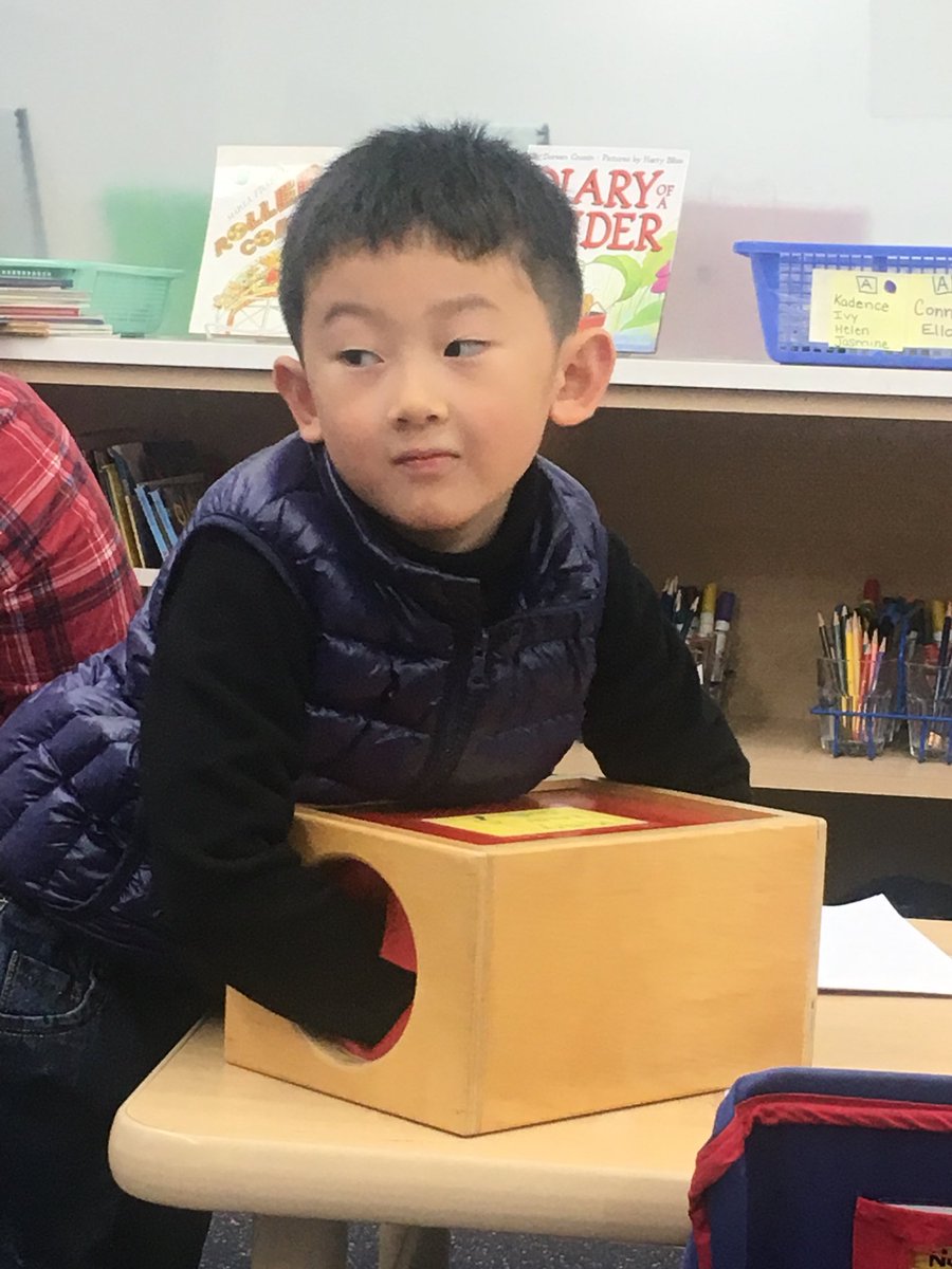 malihaiq5's tweet photo. Guess my shape! K students giving attribute clues for friends to figure out their mystery shape! #ESPDrocks @ErinScripnick https://t.co/1tCSjnRlty
