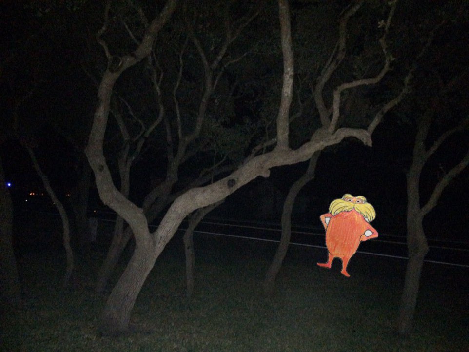 morganbates_'s tweet photo. @LTHSAPES Flat Lorax knows Texas is a semi-arid desert because of it's scarce amount of rainfall, mild winters, low humidity, and poor soil. The soil is mostly rocky and sandy with little nutrients; this makes it difficult to plant crops because of the poor soil conditions. https://t.co/zT69f31I9I