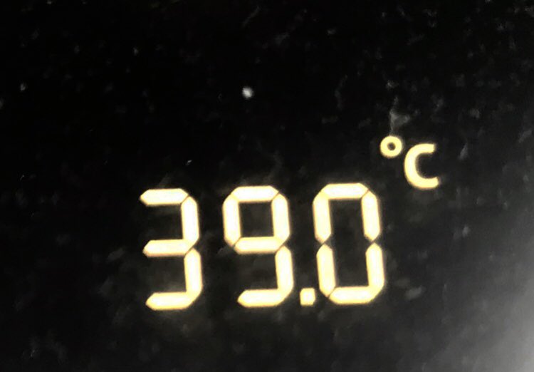 MissJackx's tweet image. It’s not even December yet #springinAustralia