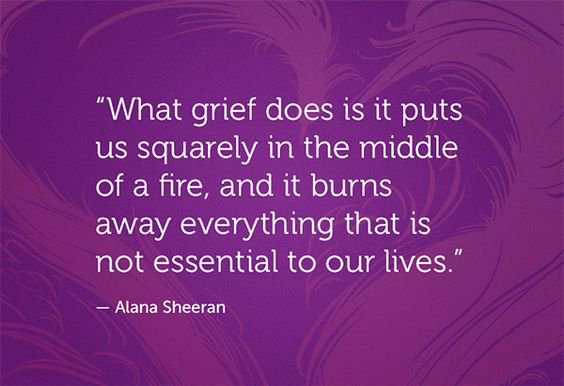 HealGrief's tweet image. What life lessons has grief taught you? healgrief.org/celebrate-a-li…